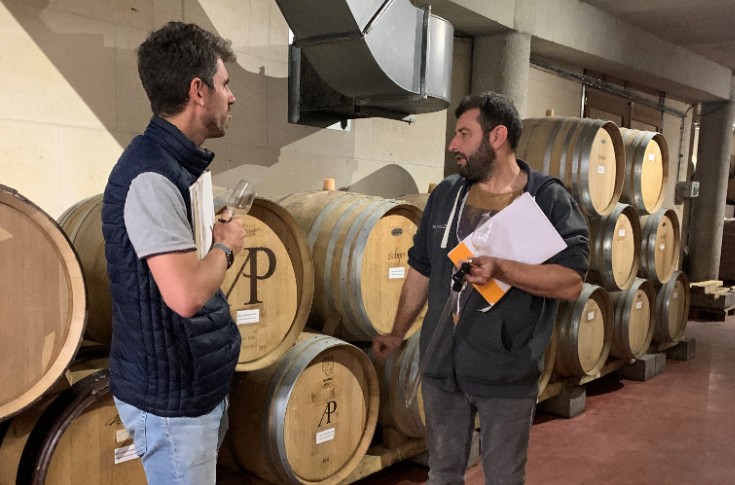Vendanges compliquées pour les crus du Rhône Nord