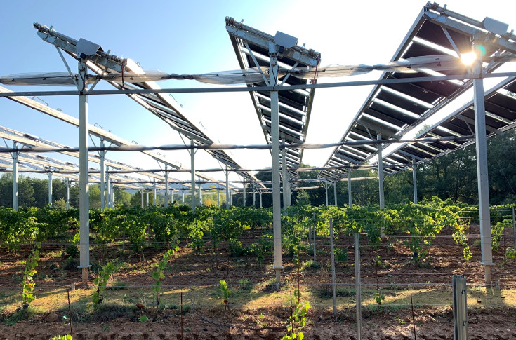 Total s’offre Ombrea et ses panneaux photovoltaïques sur vigne