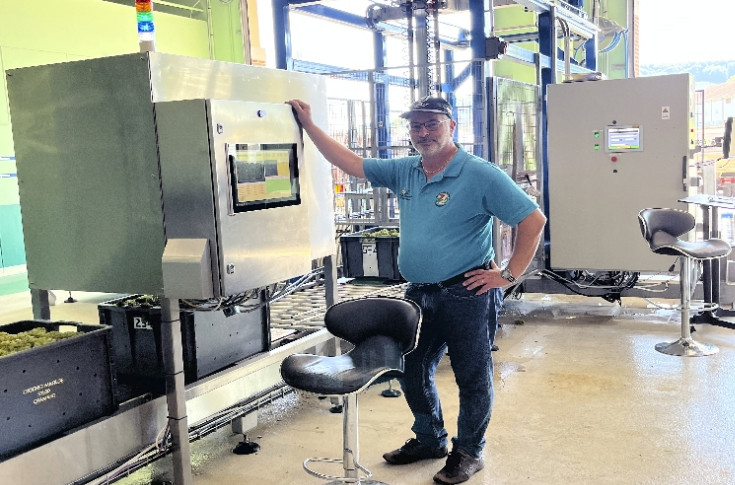  Des caisses refusées s'il y a plus de 15 % d'oïdium : en Champagne, une mireuse scrute les raisins