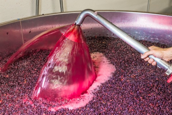 Des conseils pour vinifier un bordeaux qui se vend