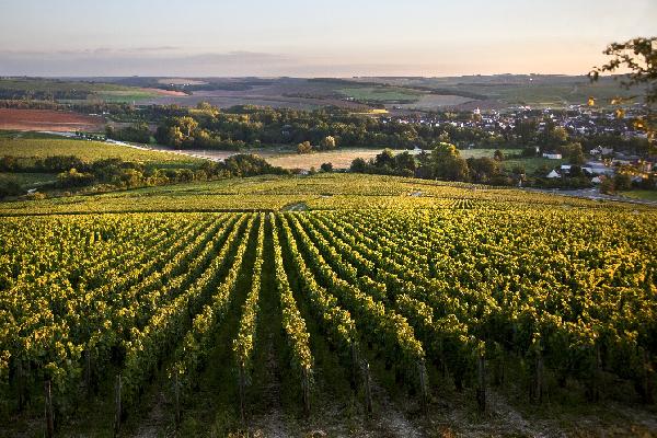  'Le délai peut atteindre 9 mois', avec la loi Sempastous, les ventes de sociétés agricoles s’éternisent