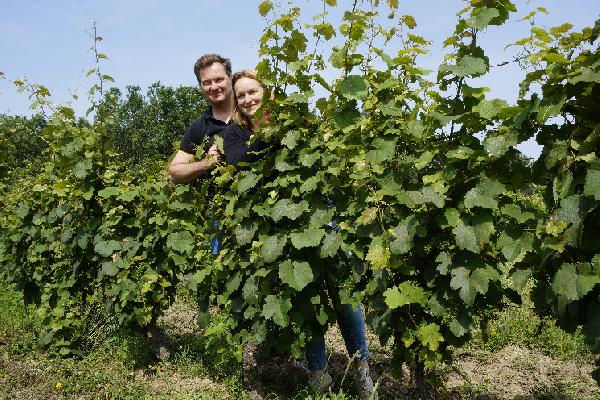 Le Château La Colombière remet 'sous les feux de la rampe' le cépage Bouysselet