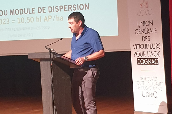 'La réserve climatique est la meilleure solution' pour la vendange 2023 de Cognac