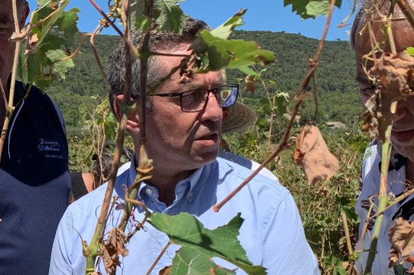 'On ne peut plus charger la barque des viticulteurs français'