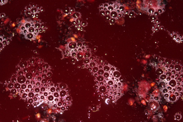 Avec 45 millions hl de vins français en 2023, une vendange nationale 'moyenne', mais certainement pas normale