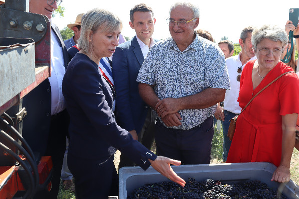 'Le beaujolais ne pleure pas, le beaujolais n’est pas en crise, le beaujolais travaille'
