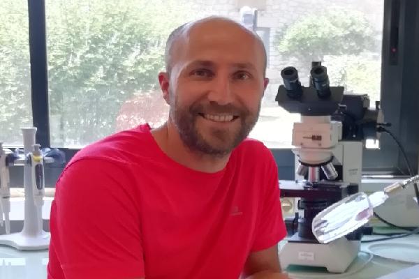  O.oeni, la bactérie de la malo serait-elle la principale responsable des goûts de souris ?