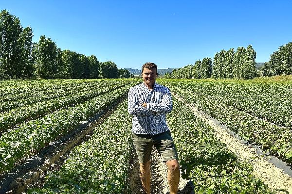 'Des coûts de traitement multipliés par deux', une année éprouvante dans les pépinières viticoles