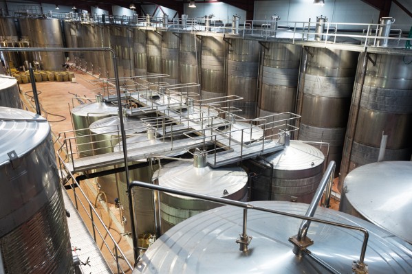 Petite vendange mais grosses difficultés à vinifier dans le Midi