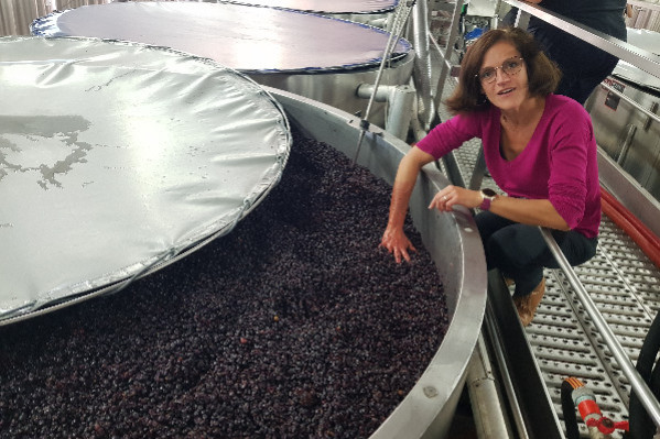 Le millésime 2023 en Bourgogne ? 'Une fois trié, c’est du caviar'