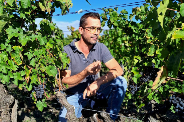 'Ce millésime renforce l’écart entre les propriétés valorisant leurs vins et les autres'   