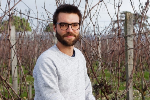 Détecter le mildiou avant l’apparition des symptômes