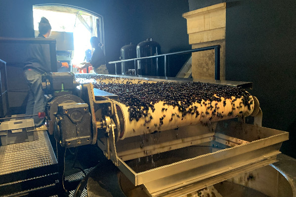 L'aide à l’emploi saisonnier maintenu dans le vignoble en 2024, mais pas (encore ?) d'avancée pour la transmission du foncier