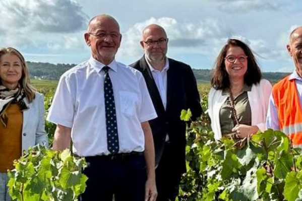 Une avancée fiscale souhaitable, et possible !, pour la transmission des vignobles en 2024