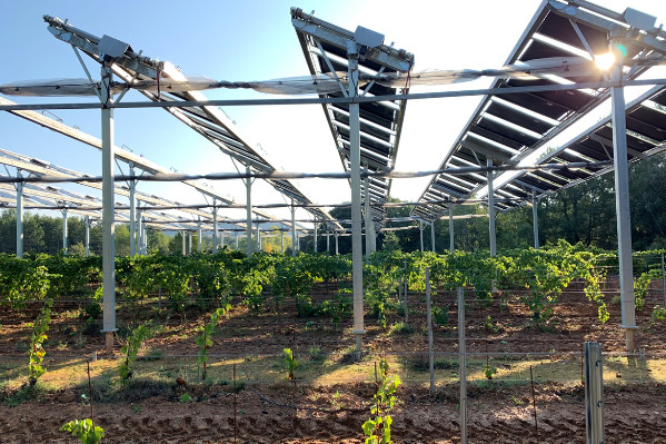 Total s’offre Ombrea et ses panneaux photovoltaïques sur vigne