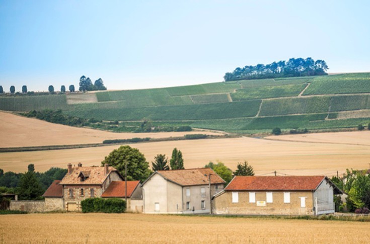 Un nouveau négoce dans le paysage viticole