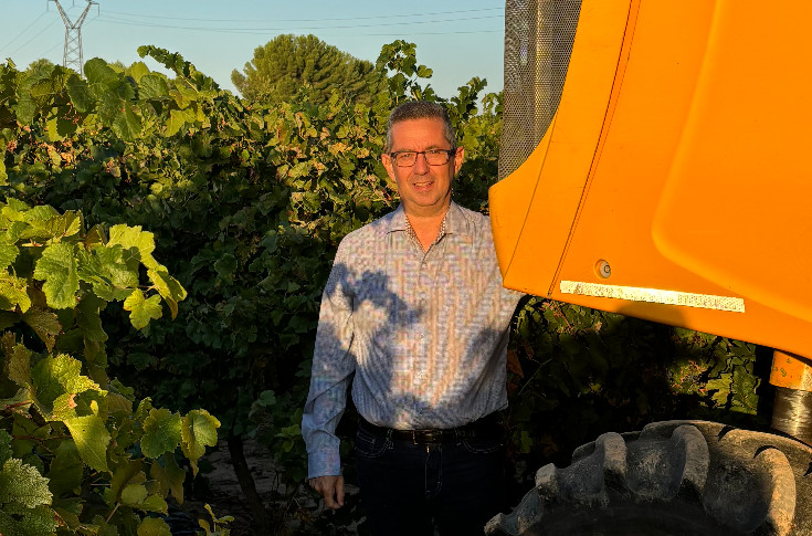 Le vignoble a la