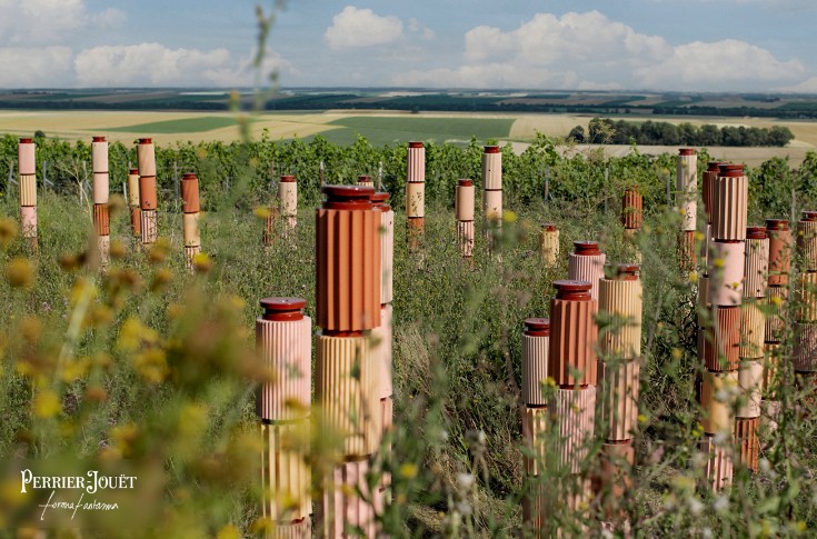 Une œuvre d’art pour augmenter la biodiversité dans le vignoble de Champagne