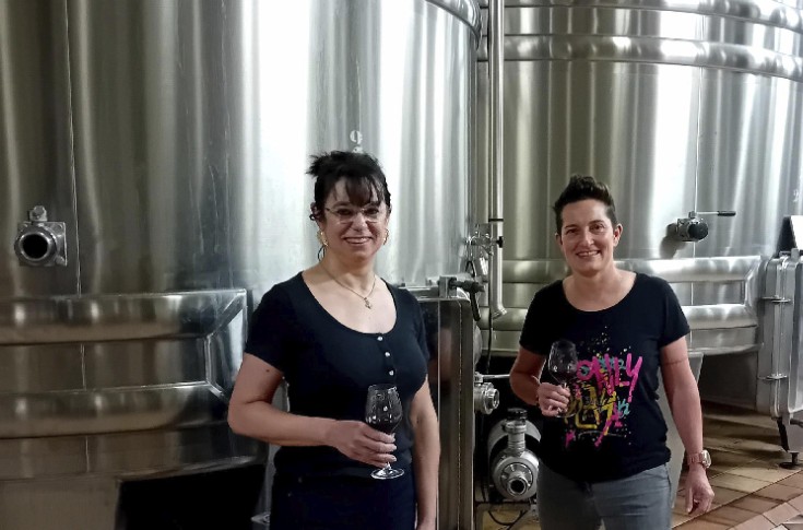 Le cuivre dans les moûts responsable des odeurs d'œuf pourri dans les vins ? Oui pour les chercheurs, pas forcément pour les oenologues