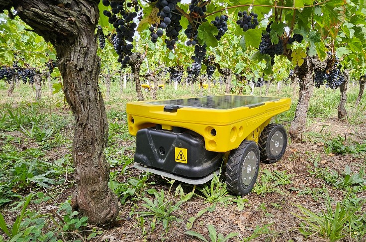 Vitirover, pour une flotte robotique légère dans les vignes
