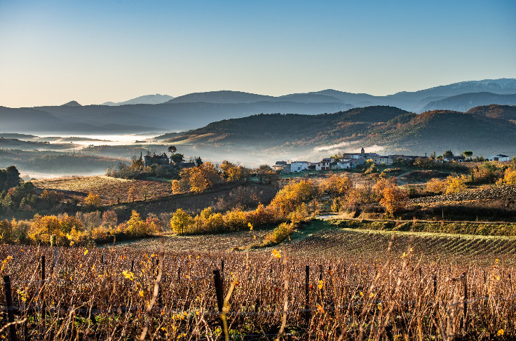 Les vignerons de Limoux à l’assaut des capitales occitanes