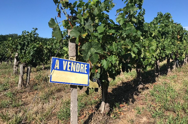 Transmises de père en fisc, des vignes foncièrement dans l’impasse