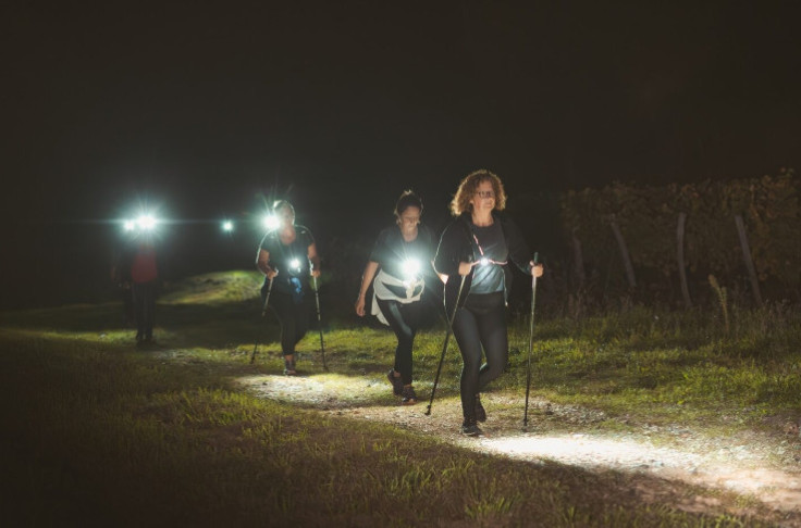 Discovering vineyards in night and day versions