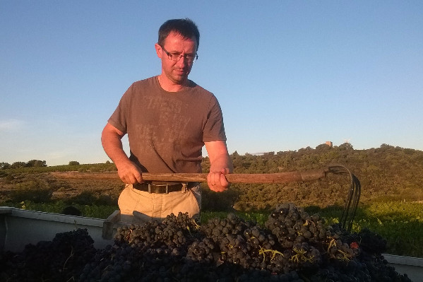 'Sans réaction, des vignerons ne passeront pas l’année'