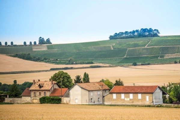 Un nouveau négoce dans le paysage viticole