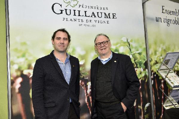 Les clones plus productifs sont à la mode pour assurer la sortie de grappes