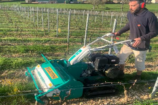 'Sans le rotofil, on ne s'en serait pas sorti', les vignerons ont utilisé le système D pour contrôler l'herbe dans les vignes