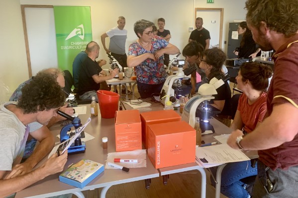 Ils passent leur vin nature à la loupe pour éviter les déviations
