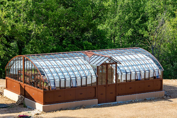 Les effluents de cave filtrés par des plantes conduites en aquaponie