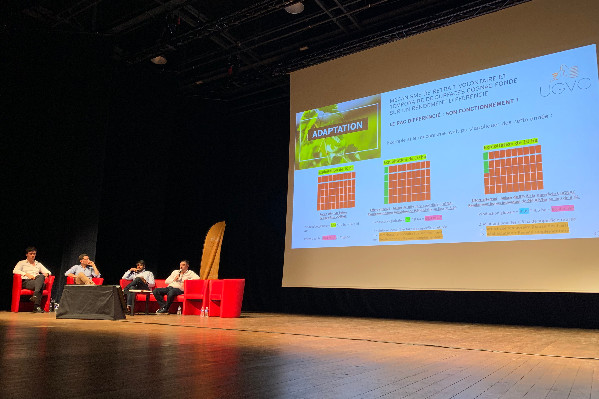 Cognac a un rêve : une réduction du vignoble réversible et rentable