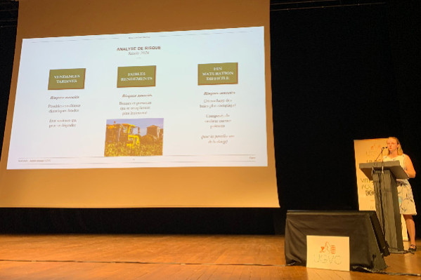 Des raisins à surveiller de près à Cognac