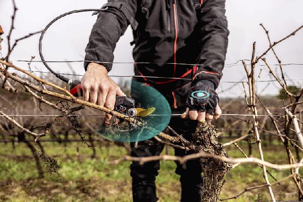 Tout sur toutes les innovations primées par le Vinitech 2024