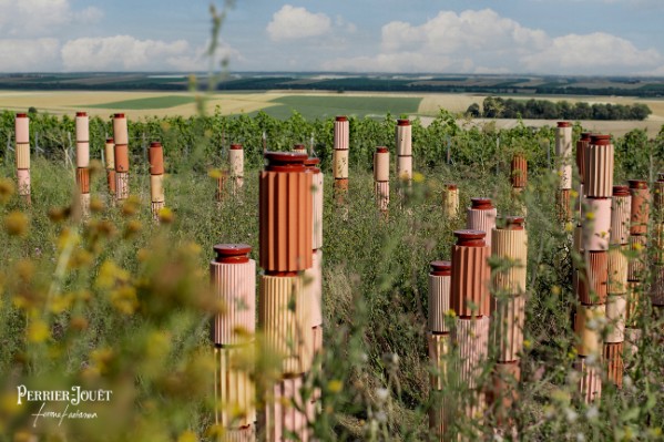 Une œuvre d’art pour augmenter la biodiversité dans le vignoble de Champagne