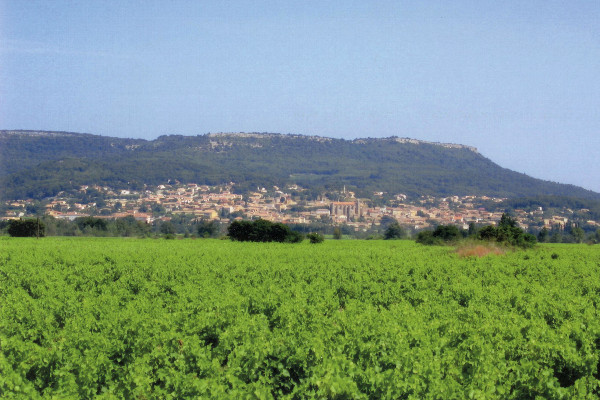 Les vins de Laudun accèdent à l'AOC