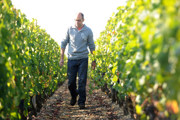 Diversification bordelaise avec des vins monocépages