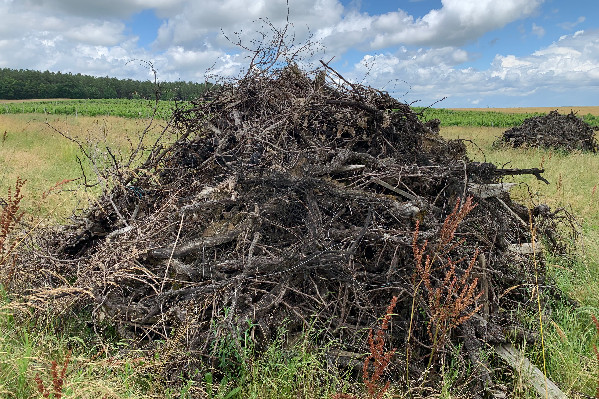 Le gouvernement valide l’arrachage à 4 000 €/ha des vignes sans avenir