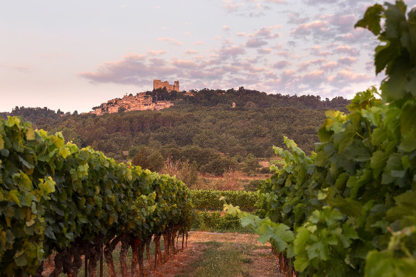 2 vins AOC testent la désalcoolisation par flash-détente