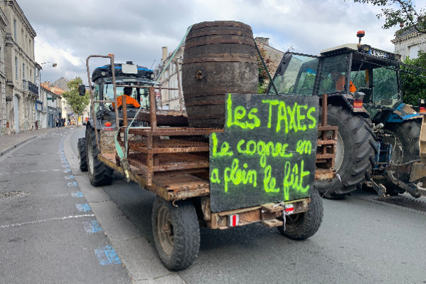 Appel au premier ministre pour éviter un premier sinistre viticole