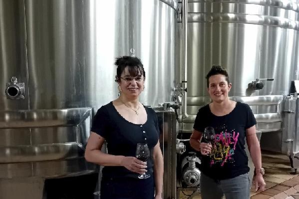 Le cuivre dans les moûts responsable des odeurs d'œuf pourri dans les vins ? Oui pour les chercheurs, pas forcément pour les oenologues