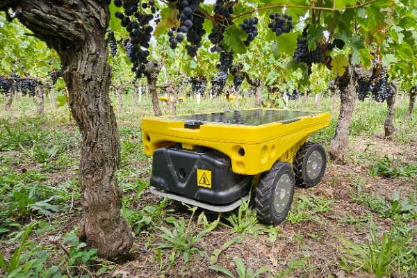 Vitirover, pour une flotte robotique légère dans les vignes