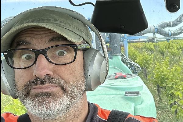 'Je n'ai pas dormi, j'ai traité', comment les vignerons bio aguerris ont sauvé leur récolte du mildiou