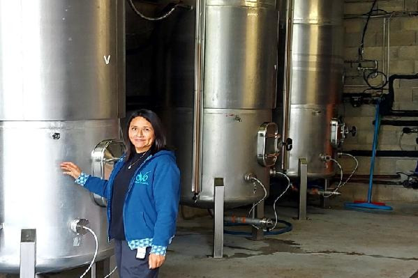 Les fermenteurs modifient-ils le profil des vins ? Oui selon une étude, non selon leurs utilisateurs