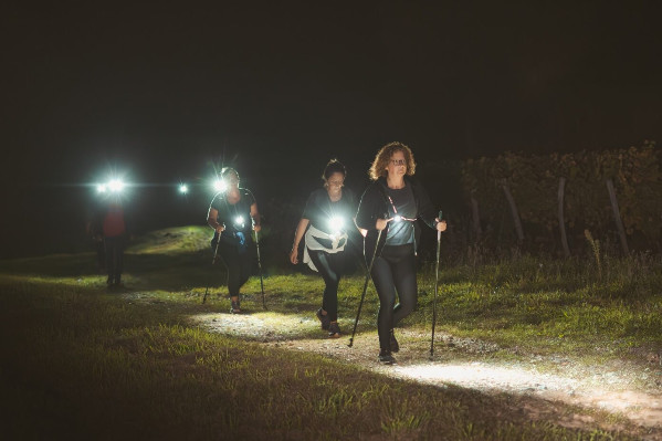 La découverte du vignoble en version jour et nuit