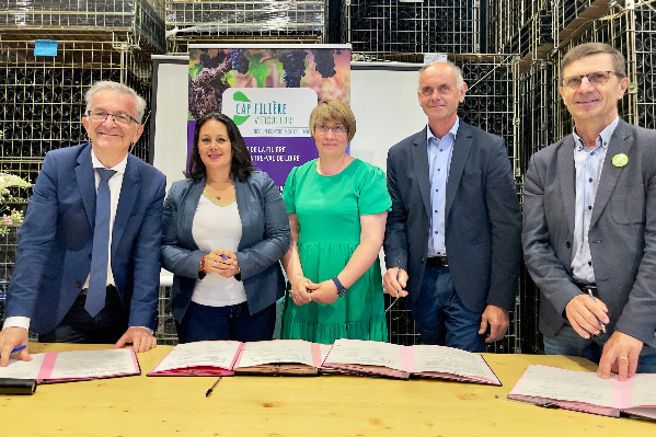 3,6 millions € pour la viticulture de la région Centre Val de Loire
