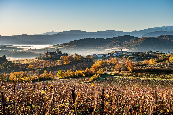 Les vignerons de Limoux à l’assaut des capitales occitanes