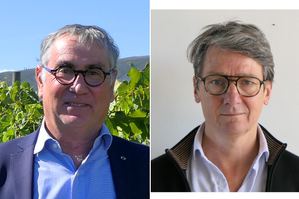 'Les viticulteurs n’ont plus la capacité financière de s’adapter, de planter des cépages résistants, de s’équiper de nouveaux matériels…'